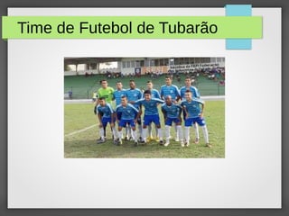 Time de Futebol de Tubarão
 