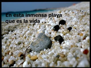 En esta inmensa playa que es la vida . .  . 