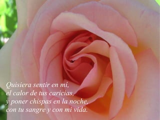 Quisiera sentir en mí, el calor de tus caricias, y poner chispas en la noche, con tu sangre y con mi vida. 