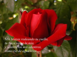 Mis brazos rodeando tu cuello, tu boca sobre la mía, y sentirte en mis adentros, como río de agua viva. 