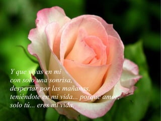 Y que vivas en mí con solo una sonrisa, despertar por las mañanas, teniéndote en mi vida... porque amor, .. solo tú... eres mi vida. 