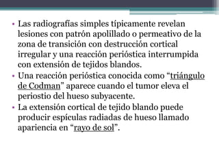 • Las radiografías simples típicamente revelan
  lesiones con patrón apolillado o permeativo de la
  zona de transición co...