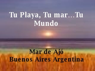 Tu Playa, Tu mar…Tu Mundo Mar de Ajó Buenos Aires Argentina 