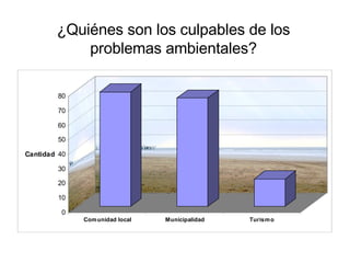 ¿Quiénes son los culpables de los problemas ambientales? . 