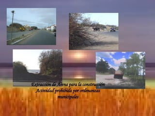 Extracción de Arena para la construcción Actividad prohibida por ordenanzas municipales 