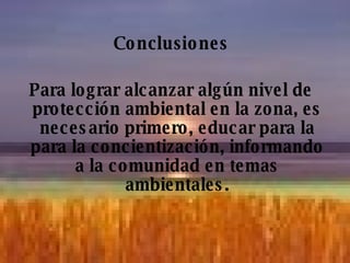 Conclusiones Para lograr alcanzar algún nivel de protección ambiental en la zona, es necesario primero, educar para la para la concientización, informando a la comunidad en temas ambientales. 