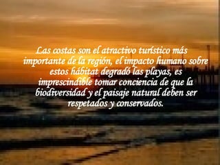Las costas son el atractivo turístico más importante de la región, el impacto humano sobre estos hábitat degradó las playas, es imprescindible tomar conciencia de que la biodiversidad y el paisaje natural deben ser respetados y conservados. 