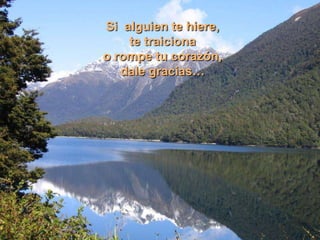Si  alguien te hiere, te traiciona o rompe tu corazón, dale gracias…