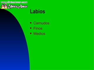 Labios   Carnu dos Finos M edios 