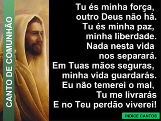 Tu és minha força,  outro Deus não há. Tu és minha paz,  minha liberdade. Nada nesta vida  nos separará. Em Tuas mãos seguras,  minha vida guardarás. Eu não temerei o mal,  Tu me livrarás E no Teu perdão viverei! ÍNDICE CANTOS CANTO DE COMUNHÃO 