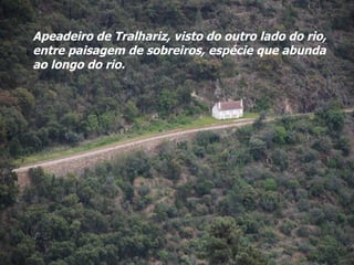 Apeadeiro de Tralhariz, visto do outro lado do rio, entre paisagem de sobreiros, espécie que abunda ao longo do rio. 