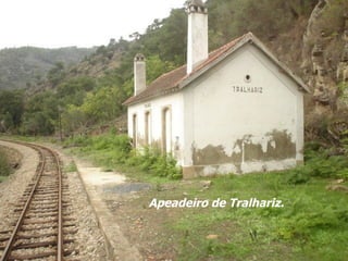 Apeadeiro de Tralhariz. 