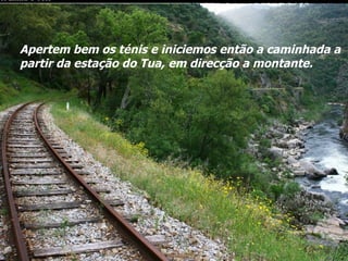 Apertem bem os ténis e iniciemos então a caminhada a partir da estação do Tua, em direcção a montante. 