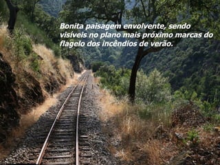 Bonita paisagem envolvente, sendo visíveis no plano mais próximo marcas do flagelo dos incêndios de verão. 
