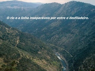 O rio e a linha inseparáveis por entre o desfiladeiro. 