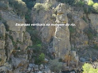 Escarpas verticais na margem do rio. 