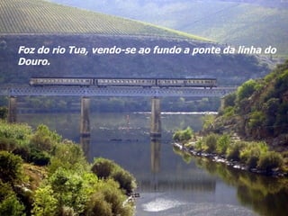 Foz do rio Tua, vendo-se ao fundo a ponte da linha do Douro. 