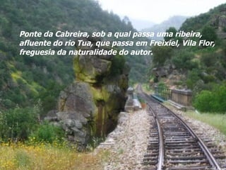 Ponte da Cabreira, sob a qual passa uma ribeira,  afluente do rio Tua, que passa em Freixiel, Vila Flor, freguesia da naturalidade do autor. 
