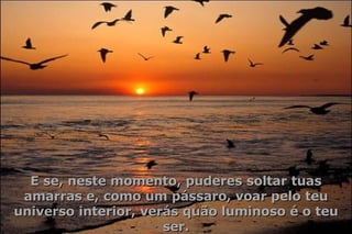 E se, neste momento, puderes soltar tuas amarras e, como um pássaro, voar pelo teu universo interior, verás quão luminoso é o teu ser. 