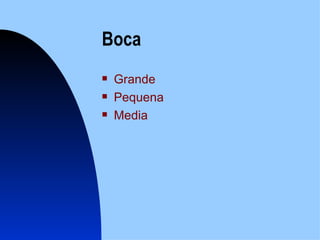 Boca Grande Pequena Media 