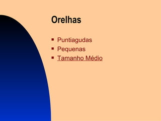 Orel h as Puntiagudas Pequenas Tamanho Médio 