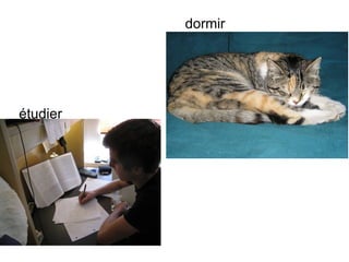 dormir étudier