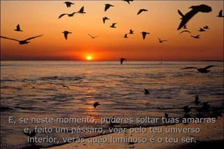 E, se neste momento, puderes soltar tuas amarras e, feito um pássaro, voar pelo teu universo interior, verás quão luminoso é o teu ser. 