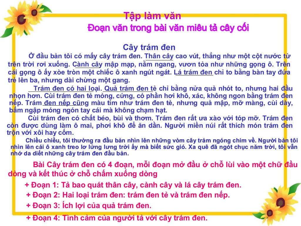 Tuan 23 doan van trong bai van mieu ta cay coi