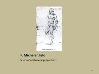 F. MichelangeloStudy of anatomical proportions27