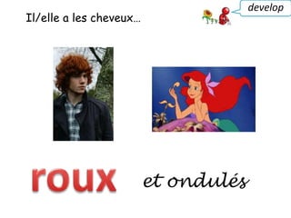 Il/elle a les cheveux…
develop
et ondulés
 