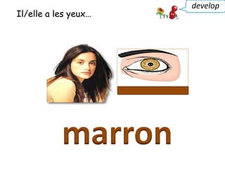 Il/elle a les yeux…
marron
develop
 