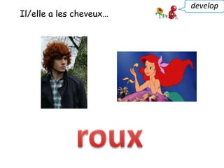 Il/elle a les cheveux…
develop
 