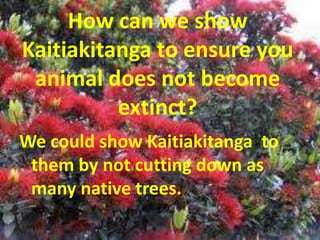 How can we show
Kaitiakitanga to ensure you
 animal does not become
          extinct?
We could show Kaitiakitanga to
 them by not cutting down as
 many native trees.
 