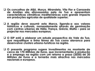 Os concelhos de Alijó, Murça, Mirandela, Vila Flor e Carrazeda de Ansiães são atravessados pelo rio Tua e apresentam características climáticas mediterrânicas com grande impacto em produções agrícolas de qualidade superior; A região deve assumir esta Marca, ligando-a aos valores históricos e culturais, nomeadamente através da geminação com centros urbanos de Itália, França, Grécia, Malta – para se projectar nos mercados europeus; O IDP está a elaborar um estudo prospectivo do Vale do Tua, que requalifique a linha férrea do Tua como alavanca para desenvolver clusters urbano-turísticos na região. O presente programa sugere investimentos no montante de cerca de 170 Milhões de Euros, que incrementarão a produção e o emprego na região com um retorno a prazo (2020) de 20 Milhões de Euros e a tornarão mais atractiva nos mercados nacionais e europeus.   
