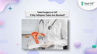 Tubal Surgery or IVF
If My Fallopian Tubes Are Blocked?
 