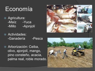 Economía
 Agricultura:
-Maíz -Yuca
-Millo -Ajonjolí
 Actividades:
-Ganadería -Pesca
 Arborización: Ceiba,
olivo, ajonjolí, mango,
pino consteño, acacia,
palma real, roble morado.
 