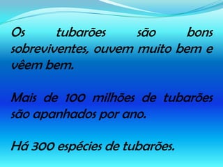 Os tubarões são bons sobreviventes, ouvem muito bem e vêem bem.Mais de 100 milhões de tubarões são apanhados por ano.Há 300 espécies de tubarões.