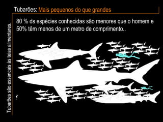 Tubarões: Mais pequenos do que grandes Tubarões são essencais às teias alimentares. 80 % ds espécies conhecidas são menores que o homem e 50% têm menos de um metro de comprimento.. 