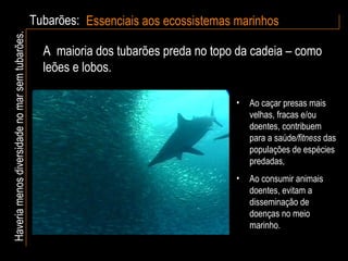 Tubarões: Essenciais aos ecossistemas marinhos Haveria menos diversidade no mar sem tubarões. Ao caçar presas mais velhas, fracas e/ou doentes, contribuem para a saúde /fitness  das populações de espécies predadas ,   Ao consumir animais doentes, evitam a disseminação de doenças no meio marinho. A  maioria dos tubarões preda no topo da cadeia – como leões e lobos. 