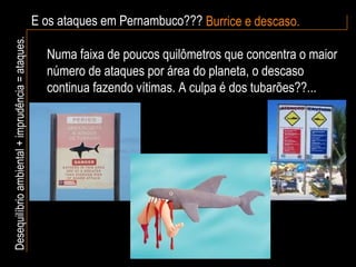 E os ataques em Pernambuco??? Burrice e descaso. Desequilíbrio ambiental + imprudência = ataques. Numa faixa de poucos quilômetros que concentra o maior número de ataques por área do planeta, o descaso continua fazendo vítimas. A culpa é dos tubarões??... 