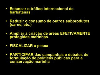 Estancar o tráfico internacional de barbatanas Reduzir o consumo de outros subprodutos (carne, etc.) Ampliar a criação de áreas EFETIVAMENTE protegidas marinhas FISCALIZAR a pesca PARTICIPAR das campanhas e debates de formulação de políticas públicas para a conservação marinha 