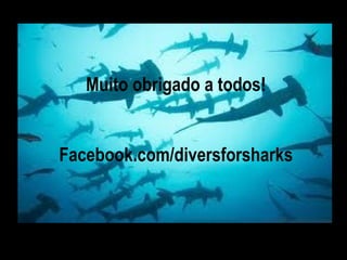 Muito obrigado a todos! Facebook.com/diversforsharks 