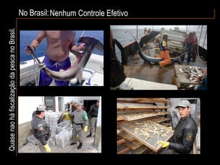 No Brasil: Nenhum Controle Efetivo Quase nao há fiscalização da pesca no Brasil. 