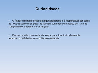 Curiosidades

• O fígado é o maior órgão de alguns tubarões e é responsável por cerca
de 10% de todo o seu peso. Já foi visto tubarões com fígado de 1,5m de
comprimento, e quase 1m de largura.


• Passam a vida toda nadando, e que para dormir simplesmente
reduzem o metabolismo e continuam nadando.
 