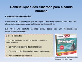Contribuições dos tubarões para a saúde
                     humana
Contribuição farmacêutica

A vitamina A foi obtida principalmente pelo óleo de fígado de tubarão até 1947,
altura em que passou a ser sintetizada em laboratório.

Em 1916, um cientista japonês isolou deste óleo um hidrocarboneto
denominado esqualena.

O óleo é utilizado:

• Como base para cremes de beleza, pomadas e
medicamentos;

•   No tratamento paliativo das hemorróidas;

•   Para a produção de leucócitos nos seres humanos;

•   Para inibir tumores cerebrais.
                                                       Fonte:http://images.quebarato.com.br/
                                                       photos/big/4/6/113346_1.jpg
 