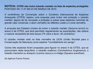 NOTÍCIA: CITES não inclui tubarão martelo na lista de espécies protegidas
POSTADO ÀS 11:47 EM 23 DE MARÇO DE 2010

A conferência da Convenção sobre o Comércio Internacional de Espécies
Ameaçada (CITES) rejeitou uma proposta para incluir sob proteção o tubarão
martelo, depois de ter recusado a proteção a outras duas espécies marinhas de
grande valor comercial, o atum vermelho do Atlântico Leste e o coral vermelho.

A proposta dos Estados Unidos de incluir o tubarão martelo (Sphyrna lemini) no
anexo II da CITES, que teria permitido regulamentar as exportações, não obteve
a maioria necessária de dois terços (75 votos a favor, 45 contrários).

O tubarão martelo está na lista vermelha da UICN (União Mundial para a
Conservação da Natureza) como espécie "mundialmente em perigo”.

Outras três espécies foram propostas para figurar no anexo II da CITES, que se
pronunciará nesta terça-feira: o tubarão oceânico (Carcharhinus longimanus), o
tubarão marracho ou anequim (Lamna nasus) e a mielga (Squalus acanthias).

Da Agência France Presse
 