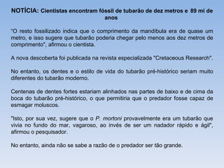 NOTÍCIA: Cientistas encontram fóssil de tubarão de dez metros e 89 mi de
                                    anos

“O resto fossilizado indica que o comprimento da mandíbula era de quase um
metro, e isso sugere que tubarão poderia chegar pelo menos aos dez metros de
comprimento", afirmou o cientista.

A nova descoberta foi publicada na revista especializada "Cretaceous Research".

No entanto, os dentes e o estilo de vida do tubarão pré-histórico seriam muito
diferentes do tubarão moderno.

Centenas de dentes fortes estariam alinhados nas partes de baixo e de cima da
boca do tubarão pré-histórico, o que permitiria que o predador fosse capaz de
esmagar moluscos.

"Isto, por sua vez, sugere que o P. mortoni provavelmente era um tubarão que
vivia no fundo do mar, vagaroso, ao invés de ser um nadador rápido e ágil",
afirmou o pesquisador.

No entanto, ainda não se sabe a razão de o predador ser tão grande.
 