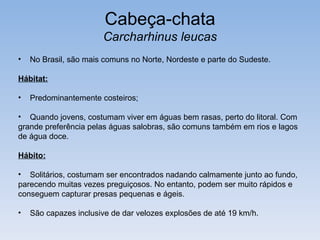 Cabeça-chata
                       Carcharhinus leucas
•   No Brasil, são mais comuns no Norte, Nordeste e parte do Sudeste.

Hábitat:

•   Predominantemente costeiros;

• Quando jovens, costumam viver em águas bem rasas, perto do litoral. Com
grande preferência pelas águas salobras, são comuns também em rios e lagos
de água doce.

Hábito:

• Solitários, costumam ser encontrados nadando calmamente junto ao fundo,
parecendo muitas vezes preguiçosos. No entanto, podem ser muito rápidos e
conseguem capturar presas pequenas e ágeis.

•   São capazes inclusive de dar velozes explosões de até 19 km/h.
 