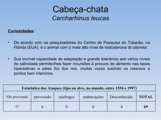 Cabeça-chata
                             Carcharhinus leucas
 Curiosidades:

 •   De acordo com os pesquisadores do Centro de Pesquisa do Tubarão, na
     Flórida (EUA), é o animal com o mais alto nível de testosterona do planeta;

 •   Sua incrível capacidade de adaptação e grande tolerância aos vários níveis
     de salinidade permite-lhes fazer incursões à procura de alimento nas baías
     hipersalinas e pelas foz dos rios, muitas vezes subindo os mesmos a
     pontos bem interiores.


          Estatística dos Ataques (tipo ou alvo, no mundo, entre 1554 e 1997)

Não provocado    provocado     náufragos     embarcações     Desconhecido       TOTAL

     57              6             0               0               6             69
 