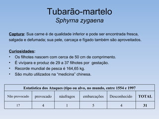 Tubarão-martelo
                            Sphyrna zygaena

Captura: Sua carne é de qualidade inferior e pode ser encontrada fresca,
salgada e defumada; sua pele, carcaça e fígado também são aproveitados.

Curiosidades:
• Os filhotes nascem com cerca de 50 cm de comprimento.
• É vivípara e produz de 29 a 37 filhotes por gestação.
• Recorde mundial de pesca é 164,65 kg.
• São muito utilizados na “medicina” chinesa.


          Estatística dos Ataques (tipo ou alvo, no mundo, entre 1554 e 1997

Não provocado   provocado      náufragos     embarcações    Desconhecido       TOTAL

     17              4             1              5                4            31
 